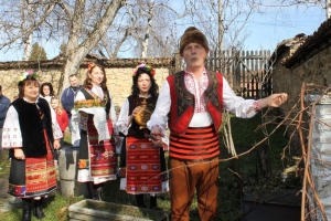 Близо 40 майстори от региона участваха в конкурса за най-добро вино в Долна Оряховица