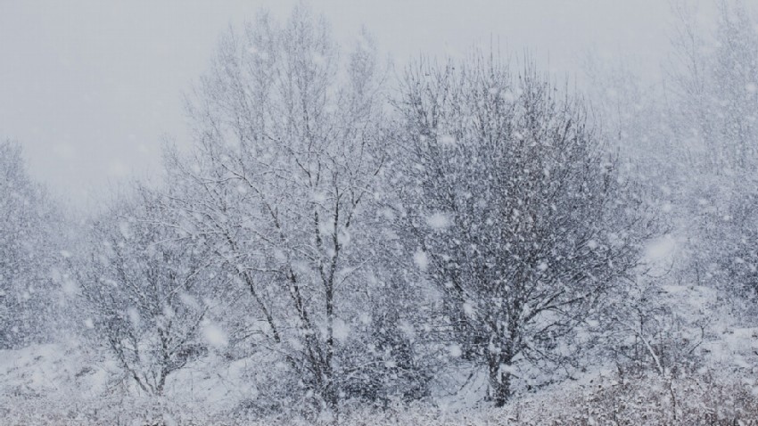 Оранжев и жълт код за виелици и силен снеговалеж на 18 февруари