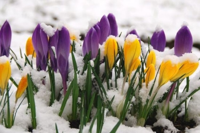 Валежите спират в неделя