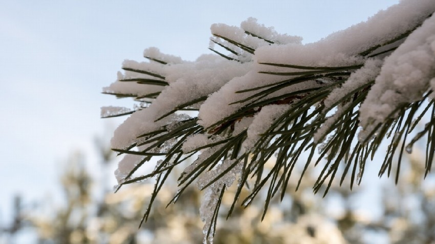 Изпращаме февруари с пролетно слънце