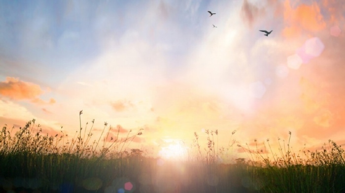 Март сменя настроението: Дъжд днес, мъгли и слънце в следващите дни