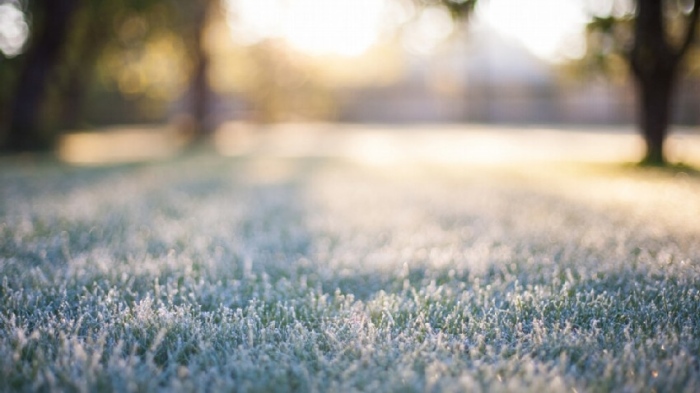 Предстои дълъг период с усещане за ранна пролет