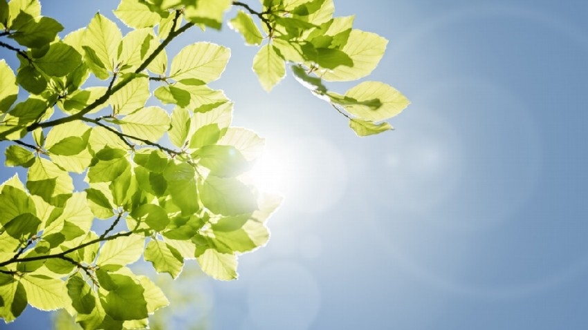 Поредицата слънчеви дни продължава