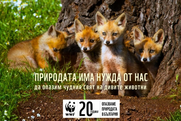Община Свищов се включва в „Часът на Земята“ 2026: Природата има нужда от нас!
