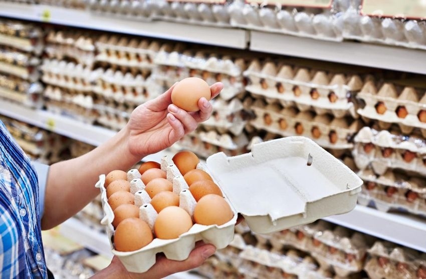 Какъв е пътят на яйцето и защо цената му расте в магазина
