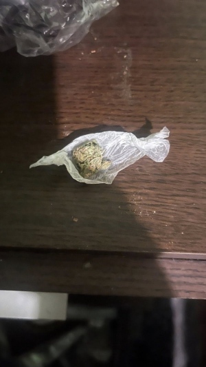 Наркотични вещества и фалшива евробанкнота иззеха полицаите при специализирана операция в павликенско