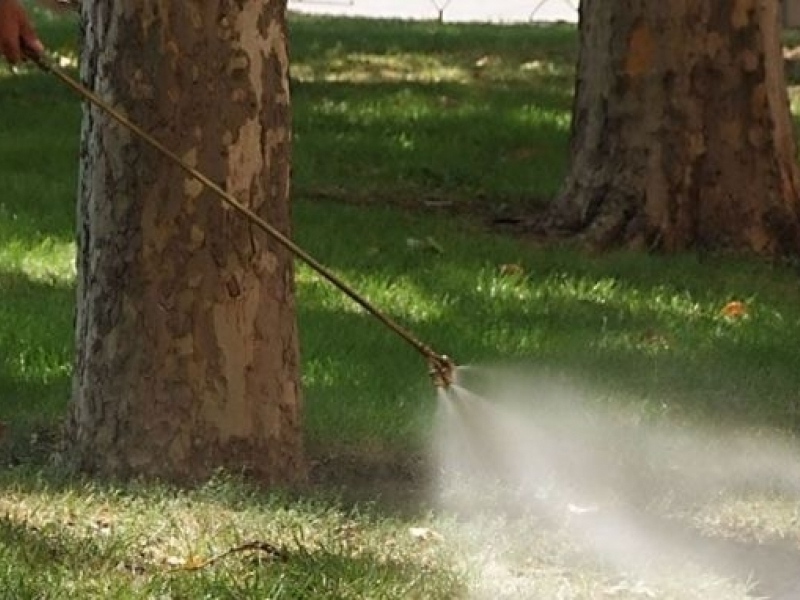 След великденските празници в Свищов започва третирането против комари, кърлежи и бълхи