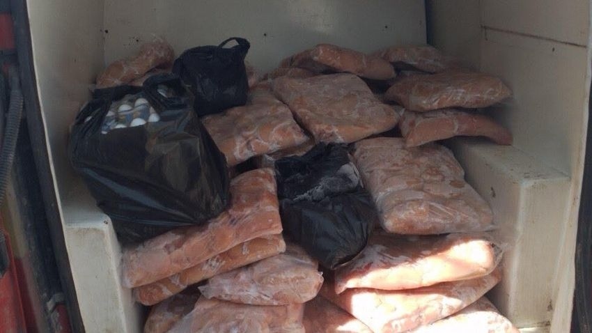 БАБХ издирва 800 заклани агнета от Свищов