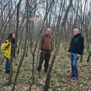 Напредва изпълнението на дейностите по проекта за подобряване състоянието на 81 000 дка гори в НАТУРА 2000 в Централна Северна България