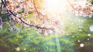 Какво ще е времето в изборния ден и през следващата седмица