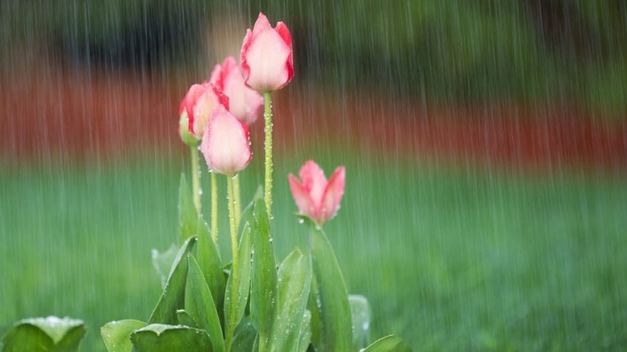 Облаци и дъжд в деня за размисъл