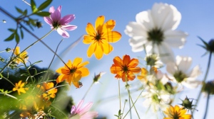 Високи температури, следвани от бури с градушки, през следващите дни