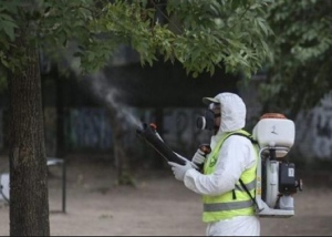 Областният управител изиска доклад от общините за мерките за борба с комарите