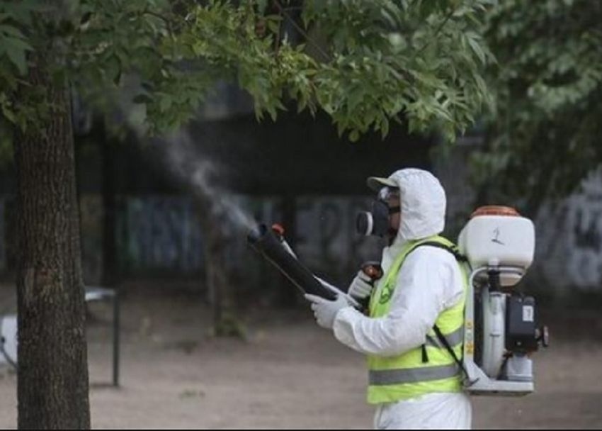 Областният управител изиска доклад от общините за мерките за борба с комарите