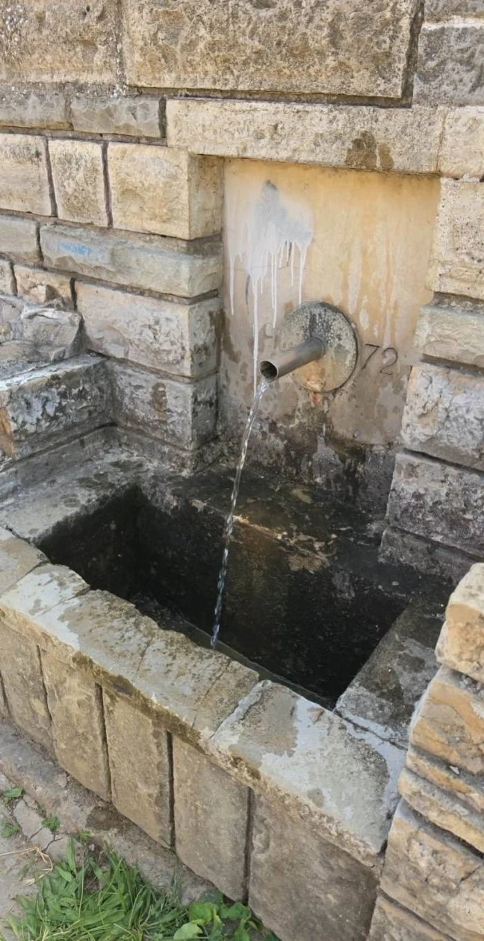 Мазневската чешмичка в Лясковец отново тече