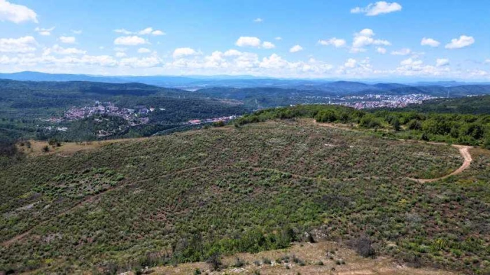 Гарга баир се възстановява
