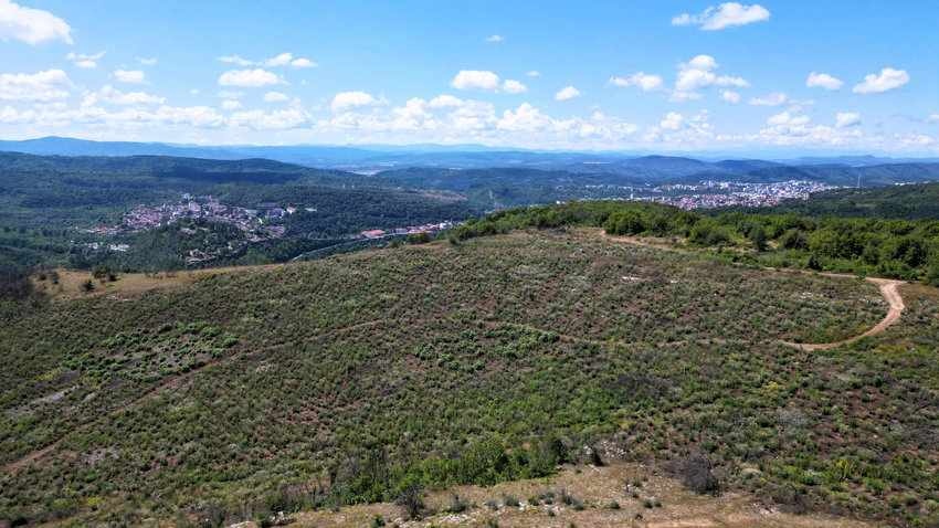Гарга баир се възстановява