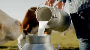 Какво е качеството на млечните продукти на трапезата ни